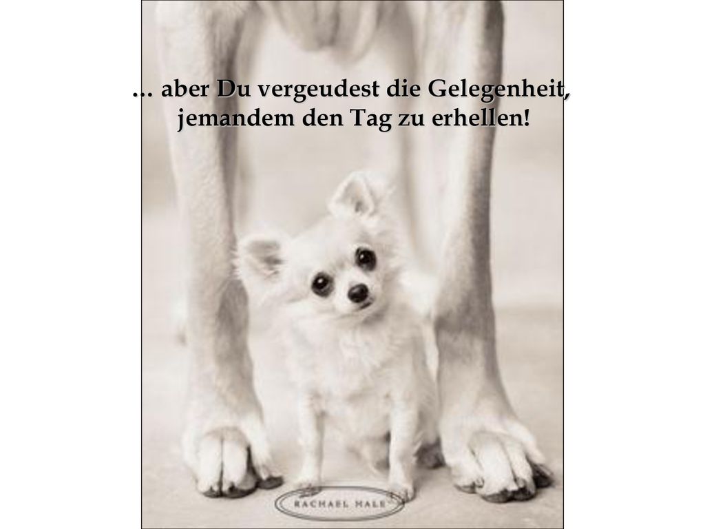 … aber Du vergeudest die Gelegenheit, jemandem den Tag zu erhellen!