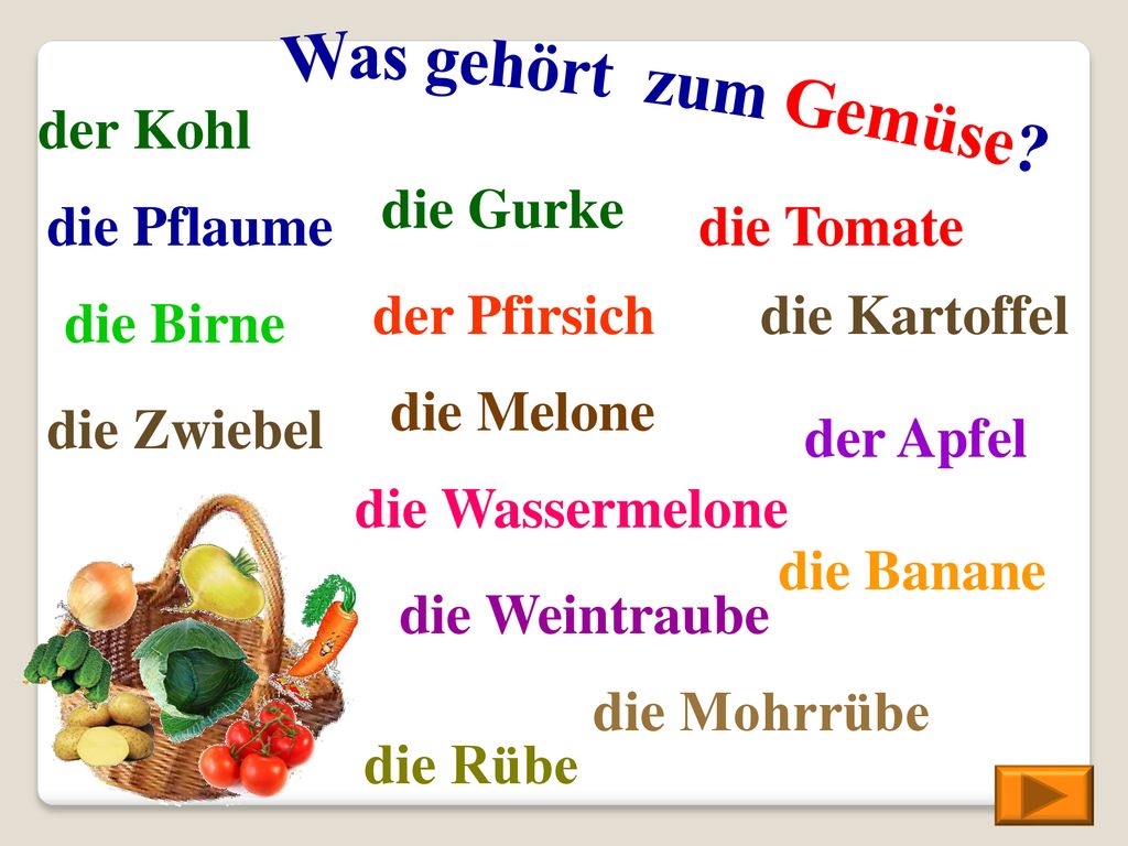 Was gehört zum Gemüse der Kohl die Gurke die Pflaume die Tomate
