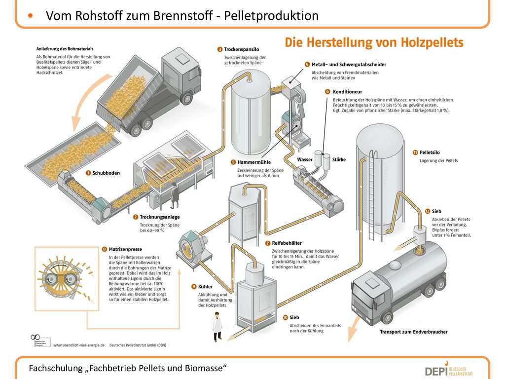 Vom Rohstoff zum Brennstoff - Pelletproduktion