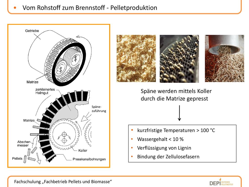 Vom Rohstoff zum Brennstoff - Pelletproduktion