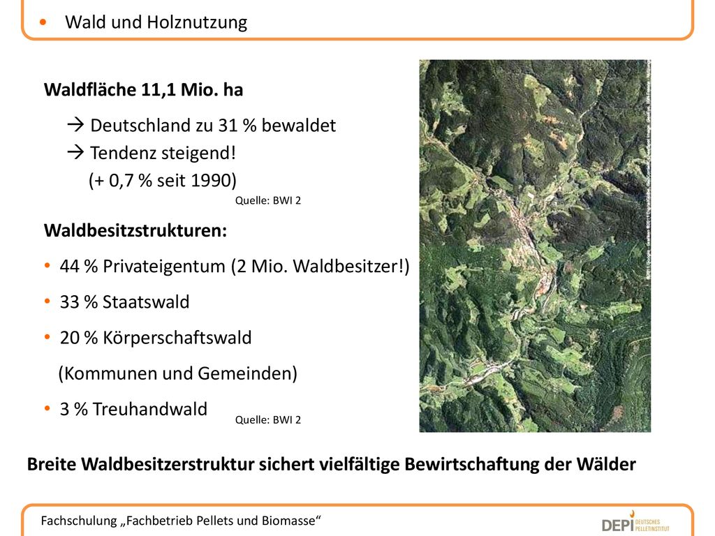  Deutschland zu 31 % bewaldet  Tendenz steigend! (+ 0,7 % seit 1990)