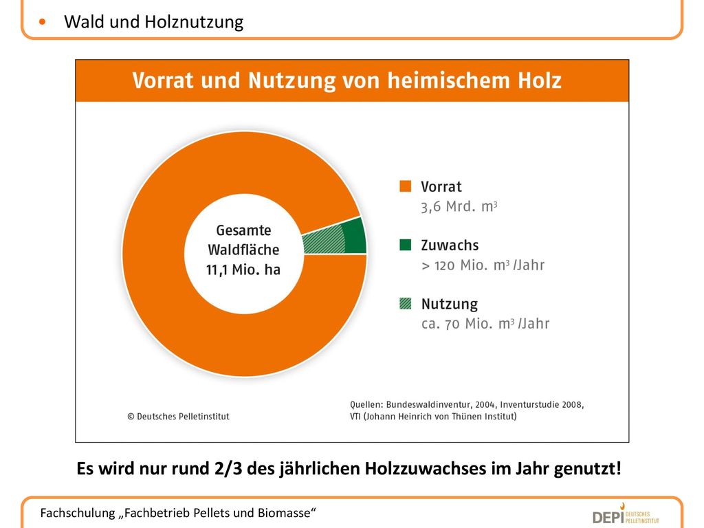 Wald und Holznutzung Es wird nur rund 2/3 des jährlichen Holzzuwachses im Jahr genutzt!