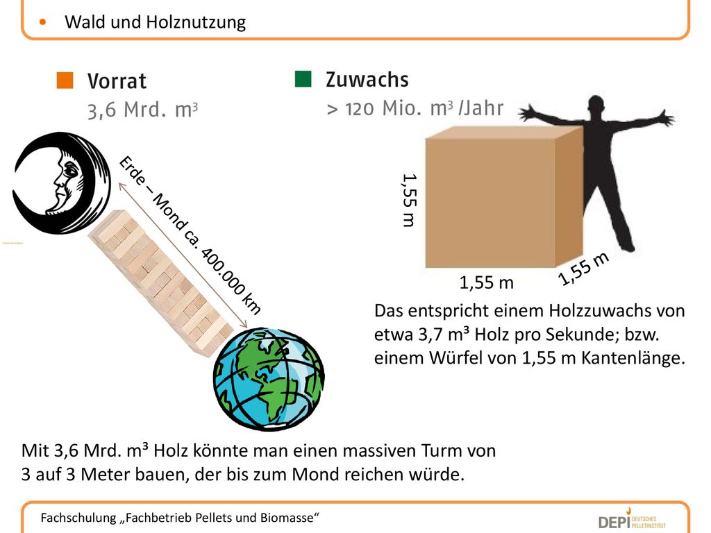 Mit 3,6 Mrd. m³ Holz könnte man einen massiven Turm von