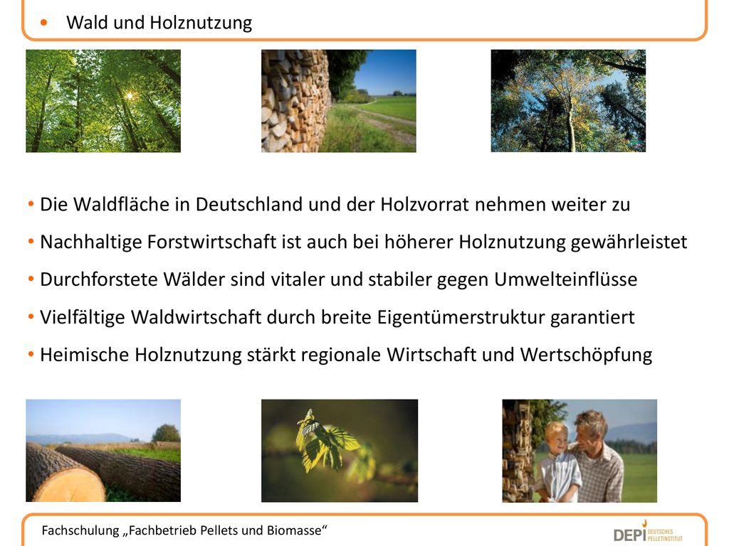 Die Waldfläche in Deutschland und der Holzvorrat nehmen weiter zu