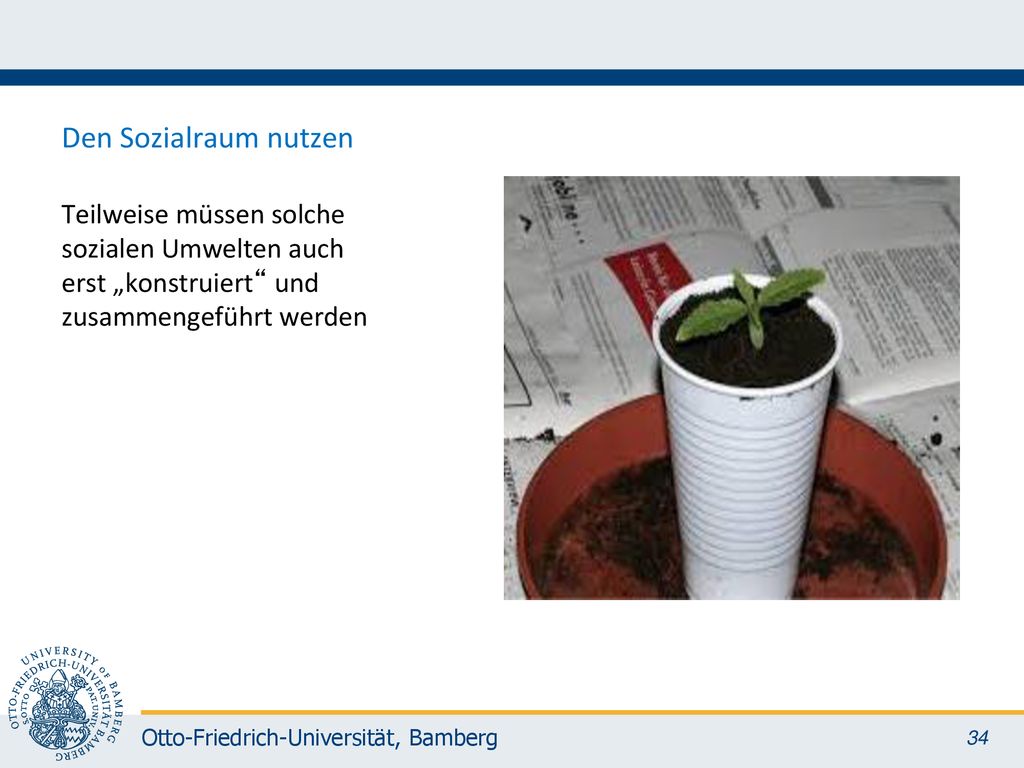Den Sozialraum nutzen Teilweise müssen solche sozialen Umwelten auch erst „konstruiert und zusammengeführt werden.