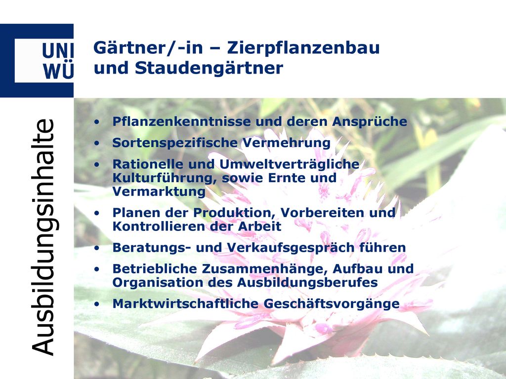 Ausbildungsberufe der Universität Würzburg ppt herunterladen