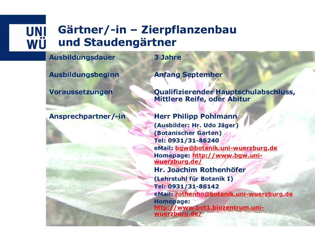 Ausbildungsberufe der Universität Würzburg ppt herunterladen