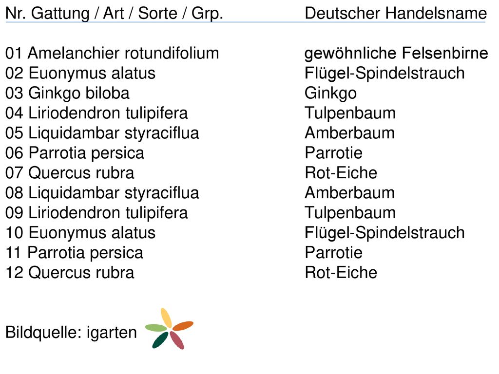 Nr. Gattung / Art / Sorte / Grp. Deutscher Handelsname