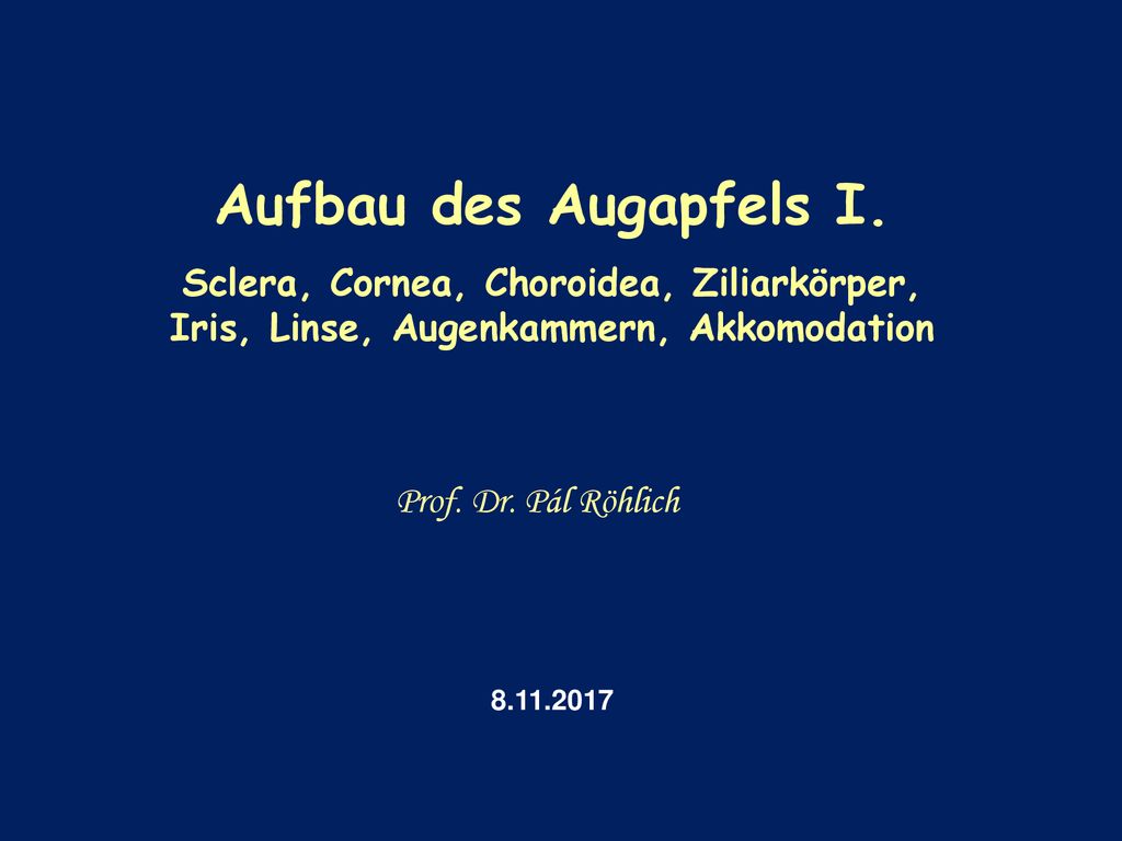 Aufbau des Augapfels I. Sclera, Cornea, Choroidea, Ziliarkörper, Iris, Linse, Augenkammern, Akkomodation.