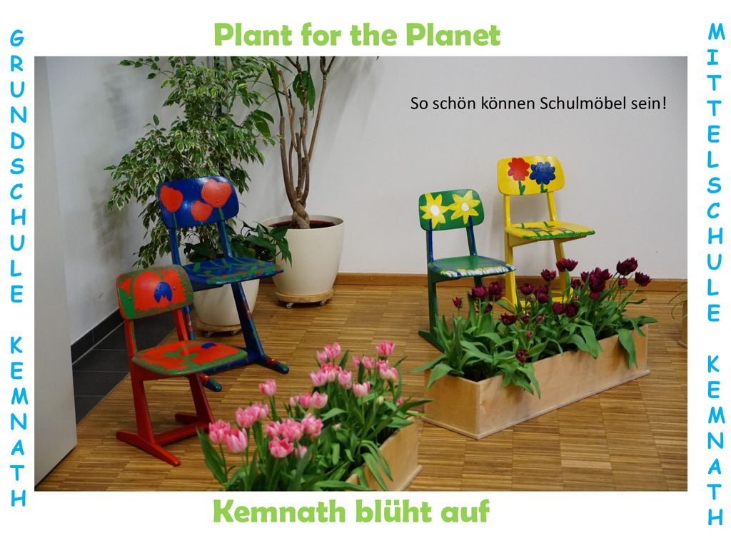 Plant for the Planet Kemnath blüht auf M G I R T U N E D L S S C C H H