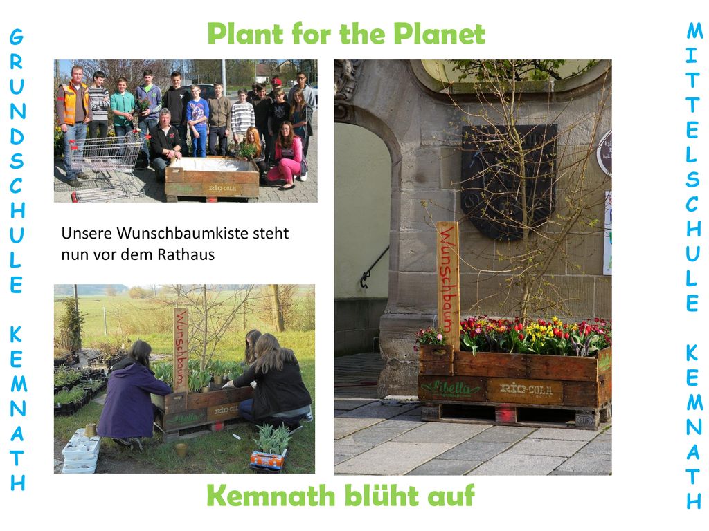 Plant for the Planet Kemnath blüht auf M G I R T U N E D L S S C C H H