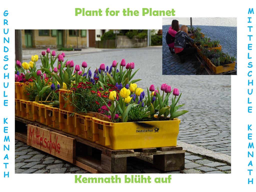 Plant for the Planet Kemnath blüht auf M G I R T U N E D L S S C C H H