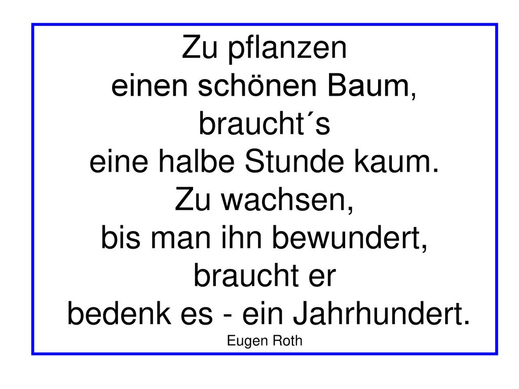 einen schönen Baum, braucht´s eine halbe Stunde kaum. Zu wachsen,