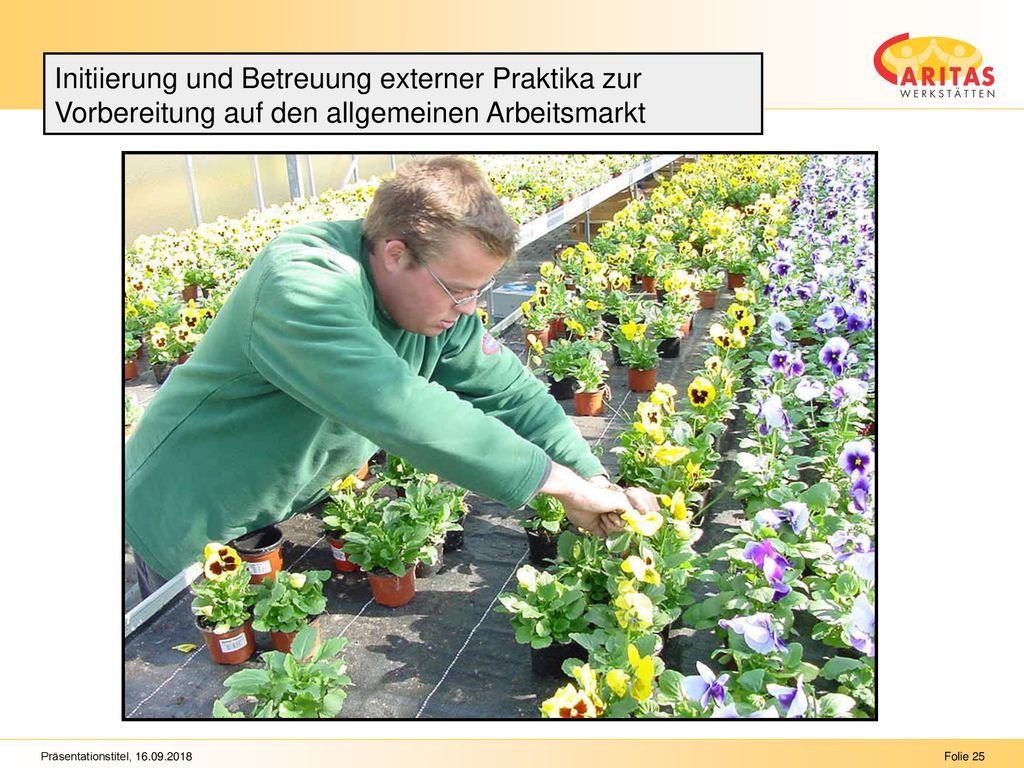 Initiierung und Betreuung externer Praktika zur Vorbereitung auf den allgemeinen Arbeitsmarkt