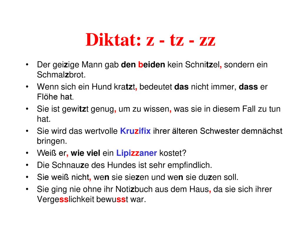 Diktat: z - tz - zz Der geizige Mann gab den beiden kein Schnitzel, sondern ein Schmalzbrot.