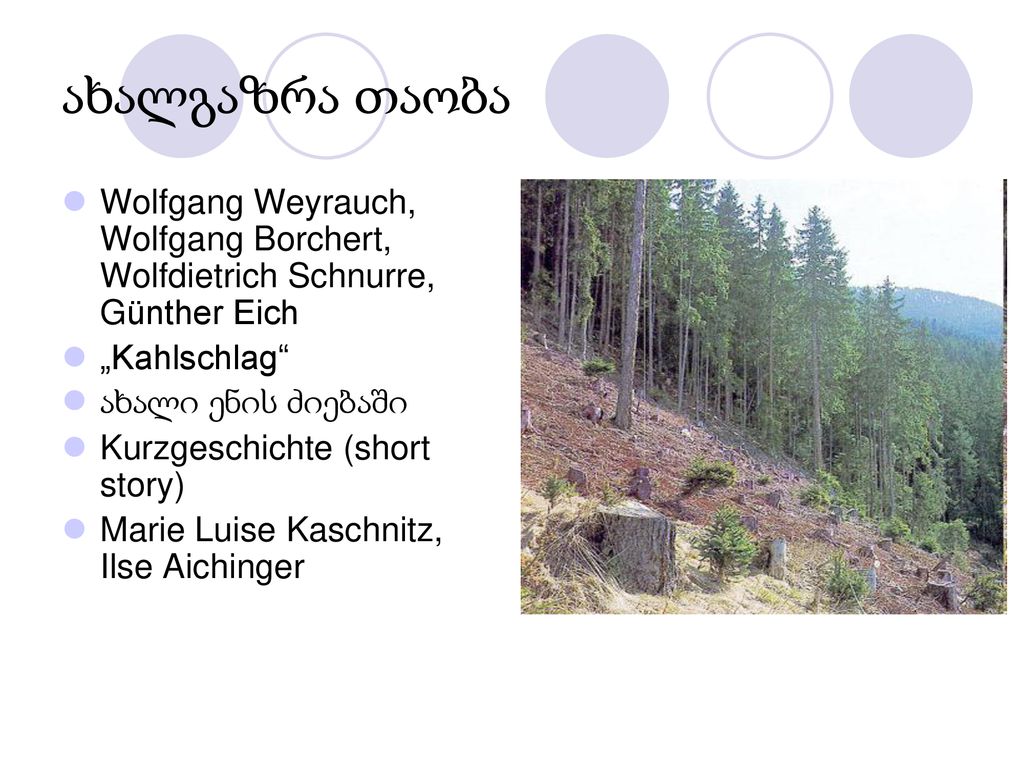 ახალგაზრა თაობა Wolfgang Weyrauch, Wolfgang Borchert, Wolfdietrich Schnurre, Günther Eich. „Kahlschlag