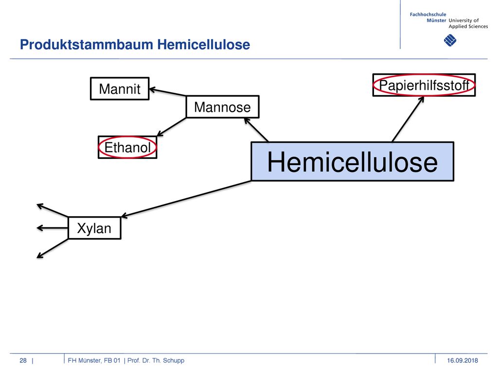 Hemicellulose Produktstammbaum Hemicellulose Papierhilfsstoff Mannit