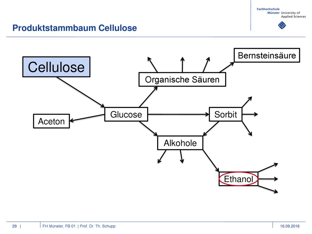 Cellulose Produktstammbaum Cellulose Bernsteinsäure Organische Säuren