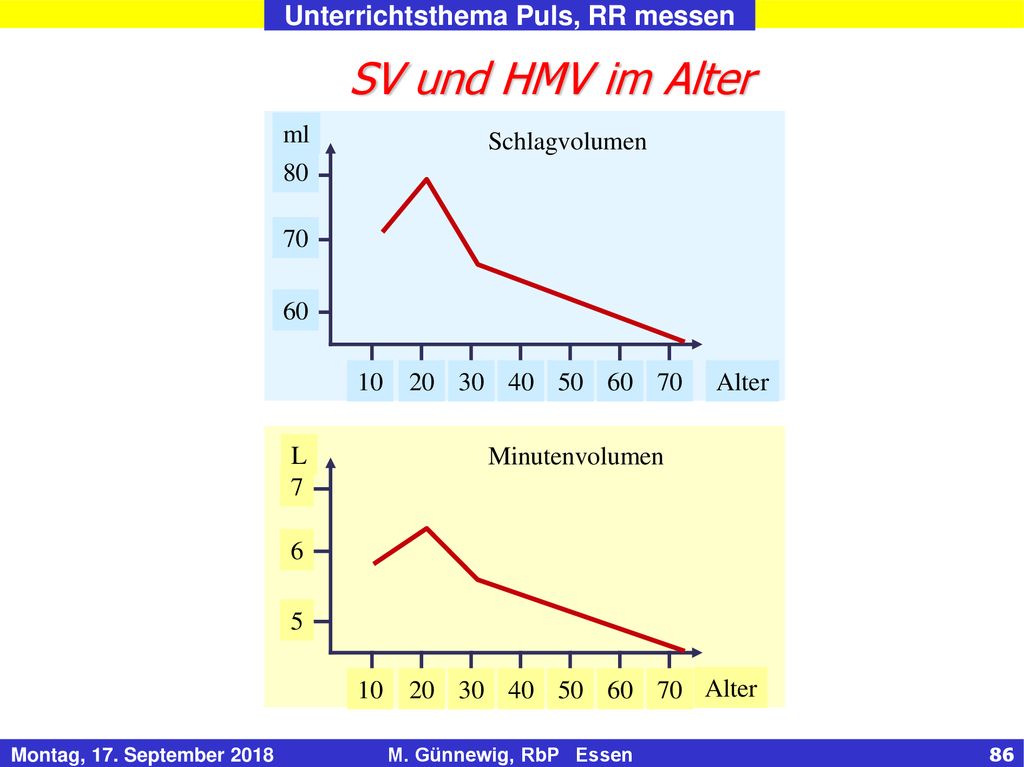 SV und HMV im Alter ml Alter Schlagvolumen L