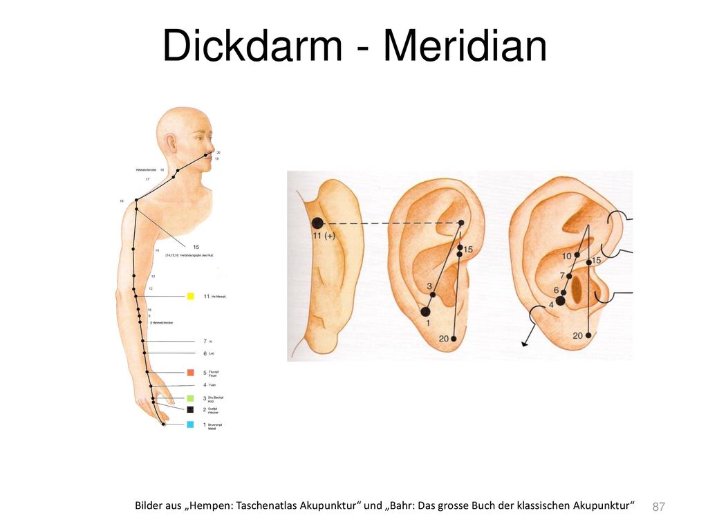 Dickdarm - Meridian Bilder aus „Hempen: Taschenatlas Akupunktur und „Bahr: Das grosse Buch der klassischen Akupunktur