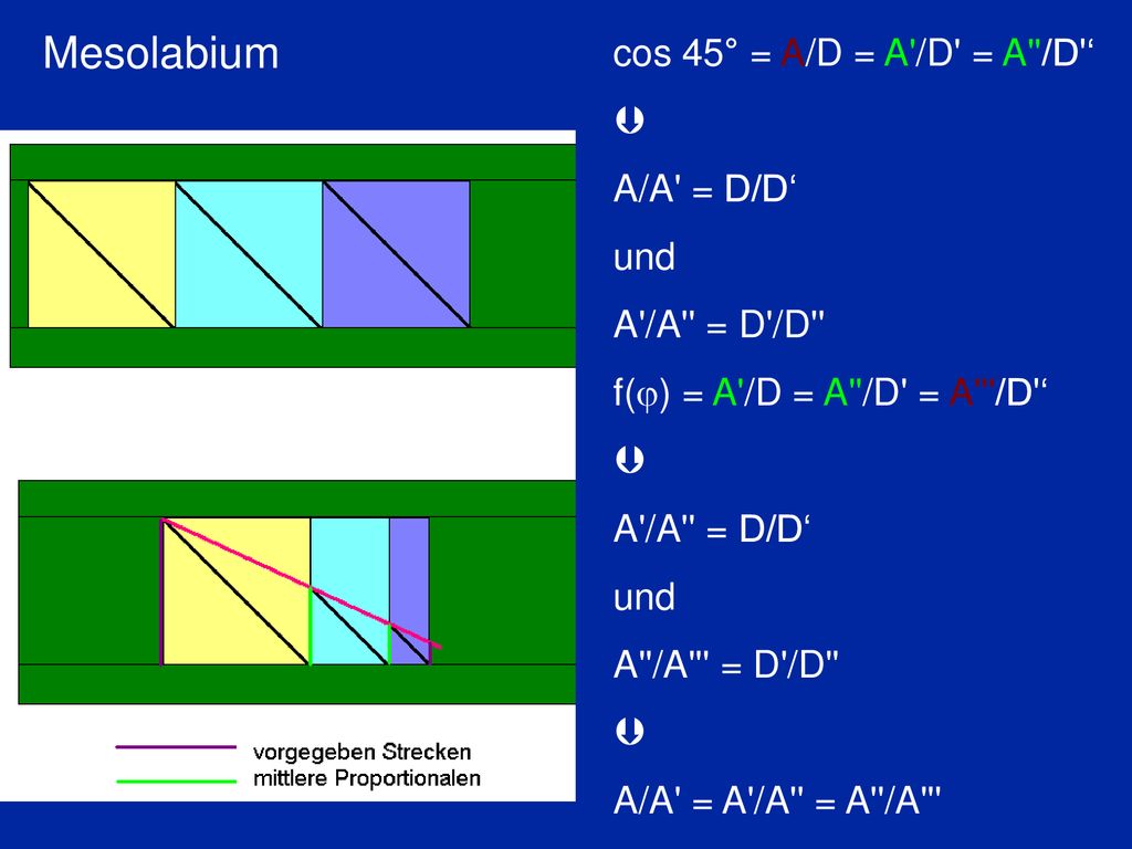 Mesolabium cos 45° = A/D = A /D = A /D ‘  A/A = D/D‘ und