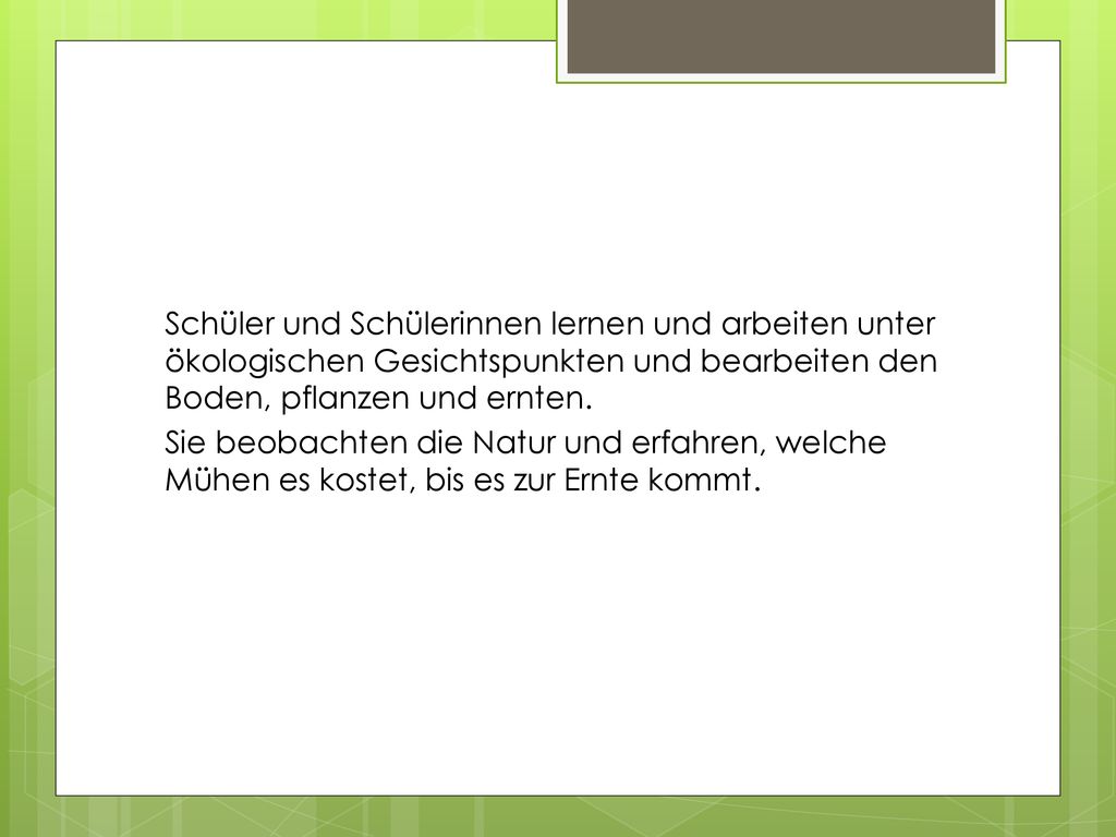Schüler und Schülerinnen lernen und arbeiten unter ökologischen Gesichtspunkten und bearbeiten den Boden, pflanzen und ernten.