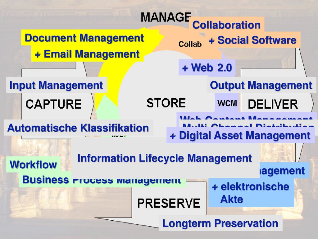 Collaboration Document Management. + Social Software. +  Management. + Web Input Management.