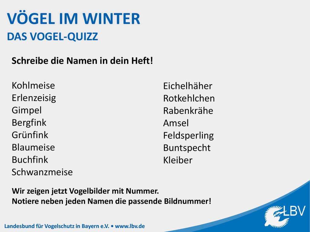 Vögel im Winter Das Vogel-quizz Schreibe die Namen in dein Heft!