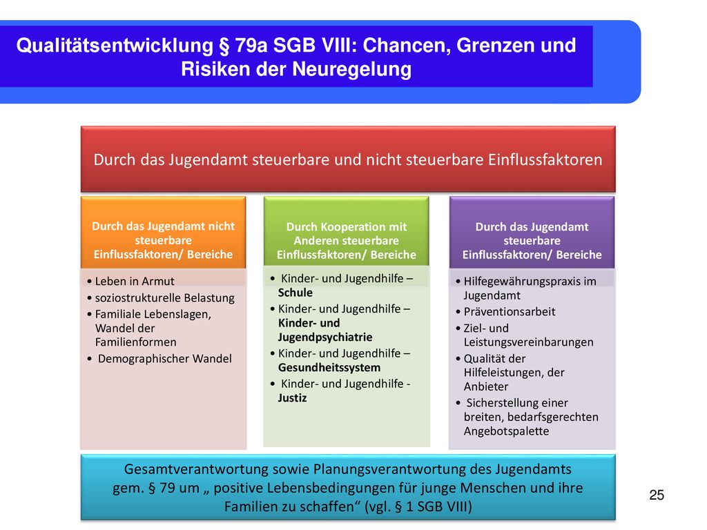 Qualitätsentwicklung § 79a SGB VIII: Chancen, Grenzen und Risiken der Neuregelung