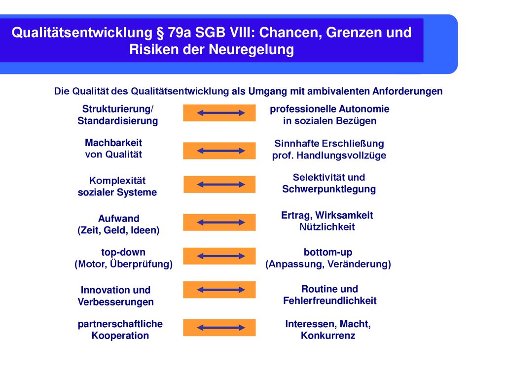 Qualitätsentwicklung § 79a SGB VIII: Chancen, Grenzen und Risiken der Neuregelung