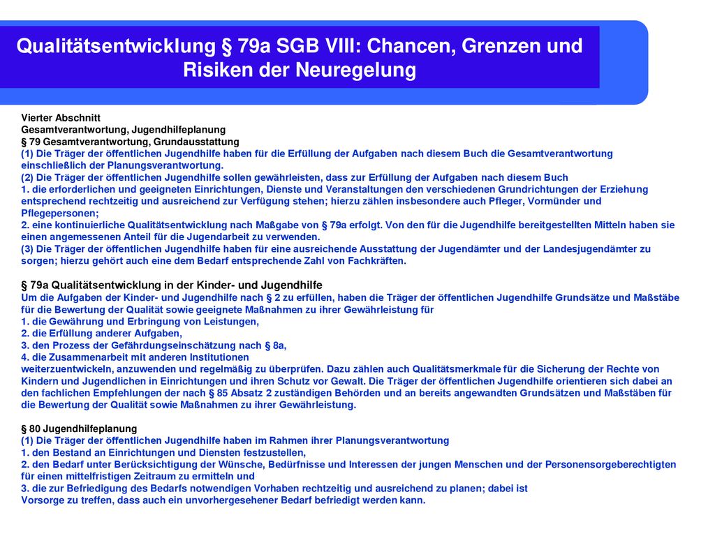 Qualitätsentwicklung § 79a SGB VIII: Chancen, Grenzen und Risiken der Neuregelung