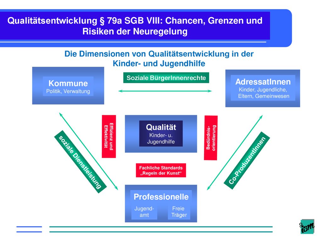 Qualitätsentwicklung § 79a SGB VIII: Chancen, Grenzen und Risiken der Neuregelung