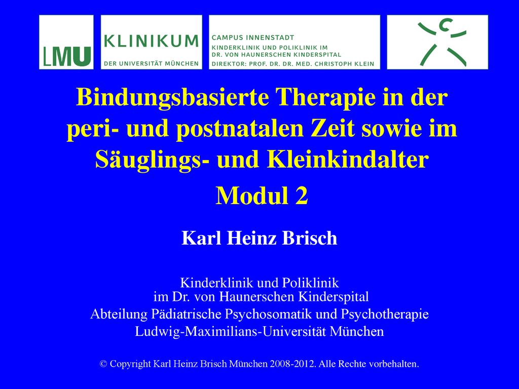 Bindungsbasierte Therapie in der peri- und postnatalen Zeit sowie im Säuglings- und Kleinkindalter Modul 2