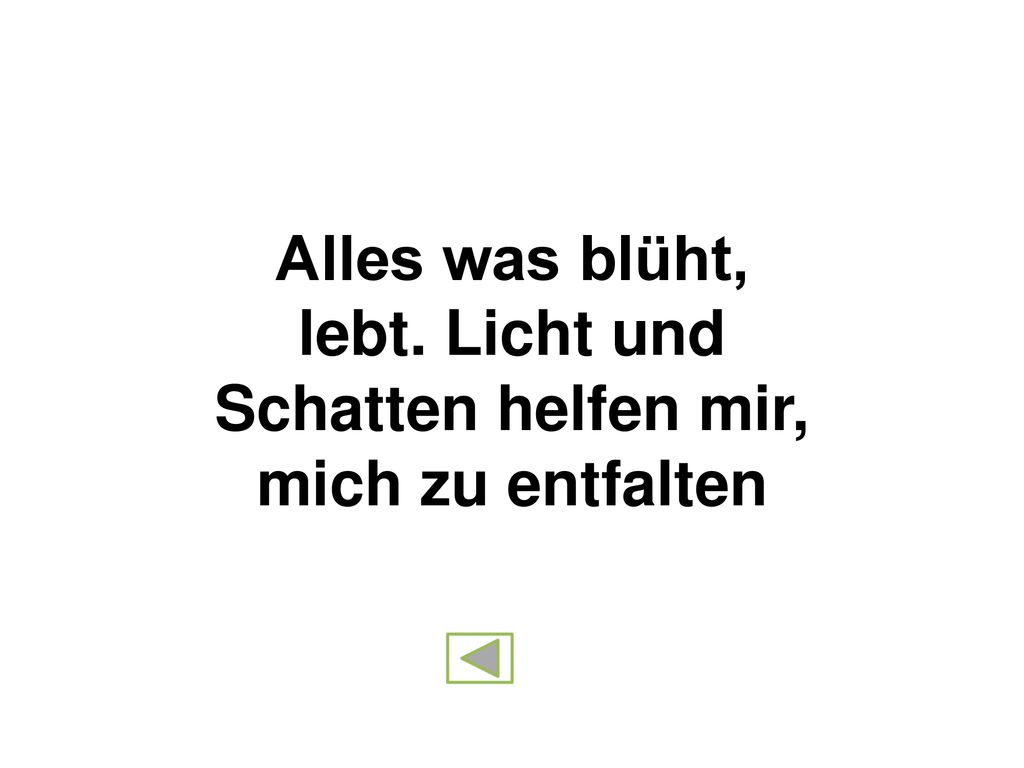 Alles was blüht, lebt. Licht und Schatten helfen mir, mich zu entfalten