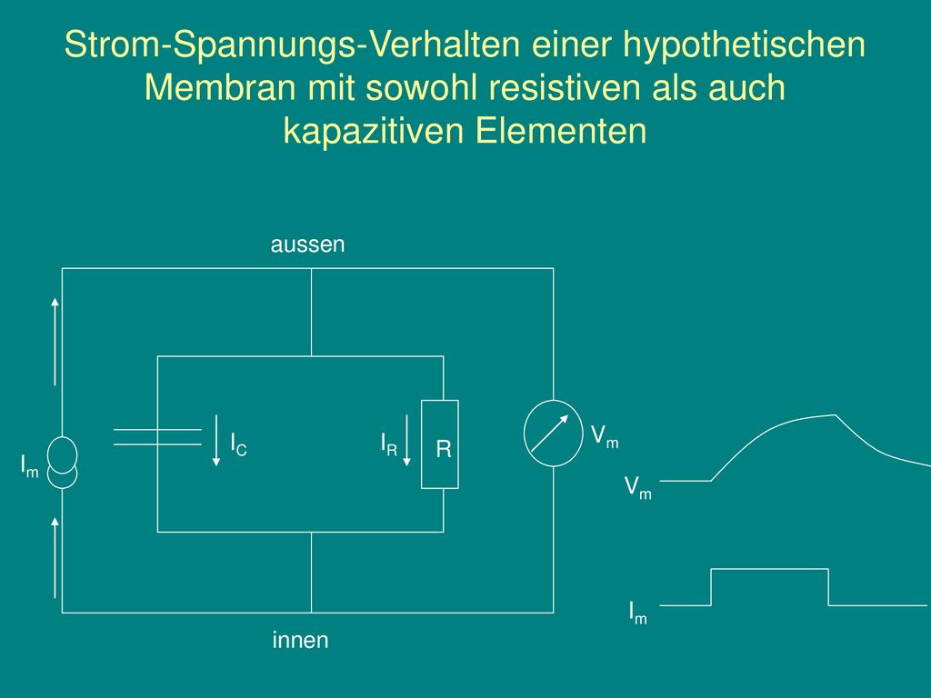 Strom-Spannungs-Verhalten einer hypothetischen Membran mit sowohl resistiven als auch kapazitiven Elementen