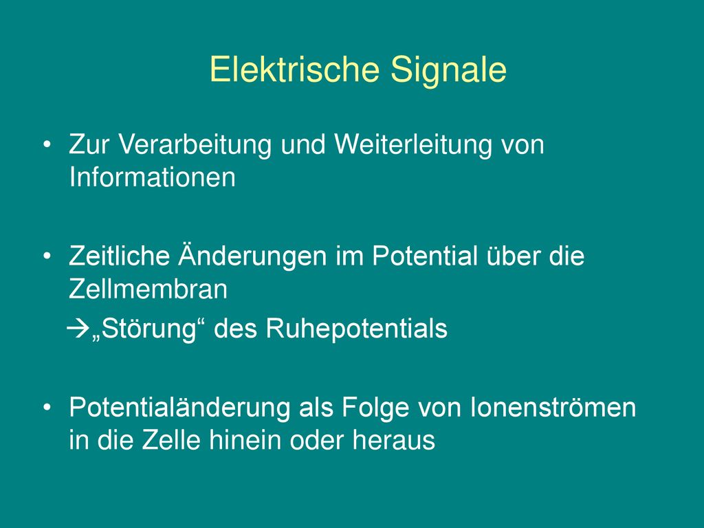 Elektrische Signale Zur Verarbeitung und Weiterleitung von Informationen. Zeitliche Änderungen im Potential über die Zellmembran.
