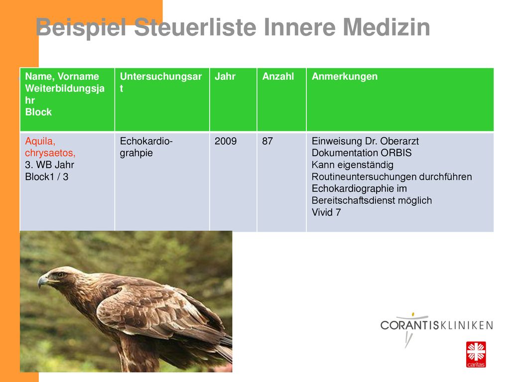 Beispiel Steuerliste Innere Medizin