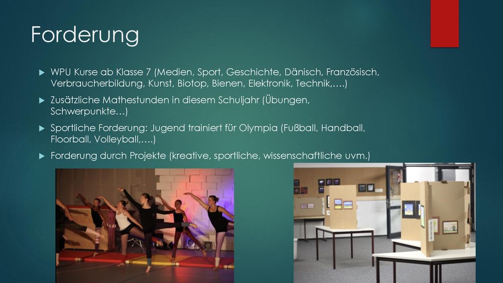 Forderung WPU Kurse ab Klasse 7 (Medien, Sport, Geschichte, Dänisch, Französisch, Verbraucherbildung, Kunst, Biotop, Bienen, Elektronik, Technik,….)