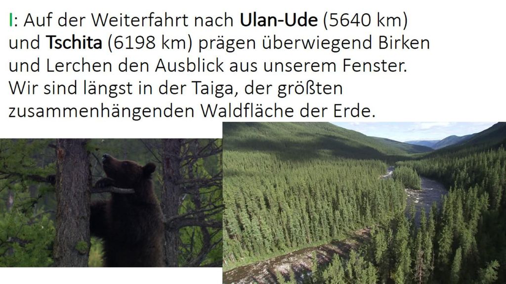I: Auf der Weiterfahrt nach Ulan-Ude (5640 km) und Tschita (6198 km) prägen überwiegend Birken und Lerchen den Ausblick aus unserem Fenster.