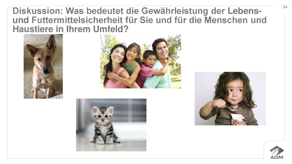 Diskussion: Was bedeutet die Gewährleistung der Lebens- und Futtermittelsicherheit für Sie und für die Menschen und Haustiere in Ihrem Umfeld