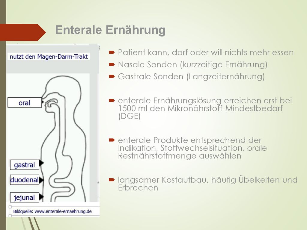 Enterale Ernährung Patient kann, darf oder will nichts mehr essen
