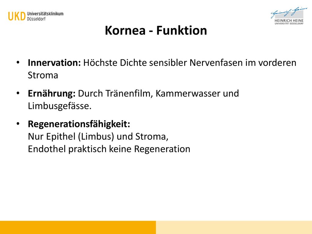 Kornea - Funktion Innervation: Höchste Dichte sensibler Nervenfasen im vorderen Stroma.