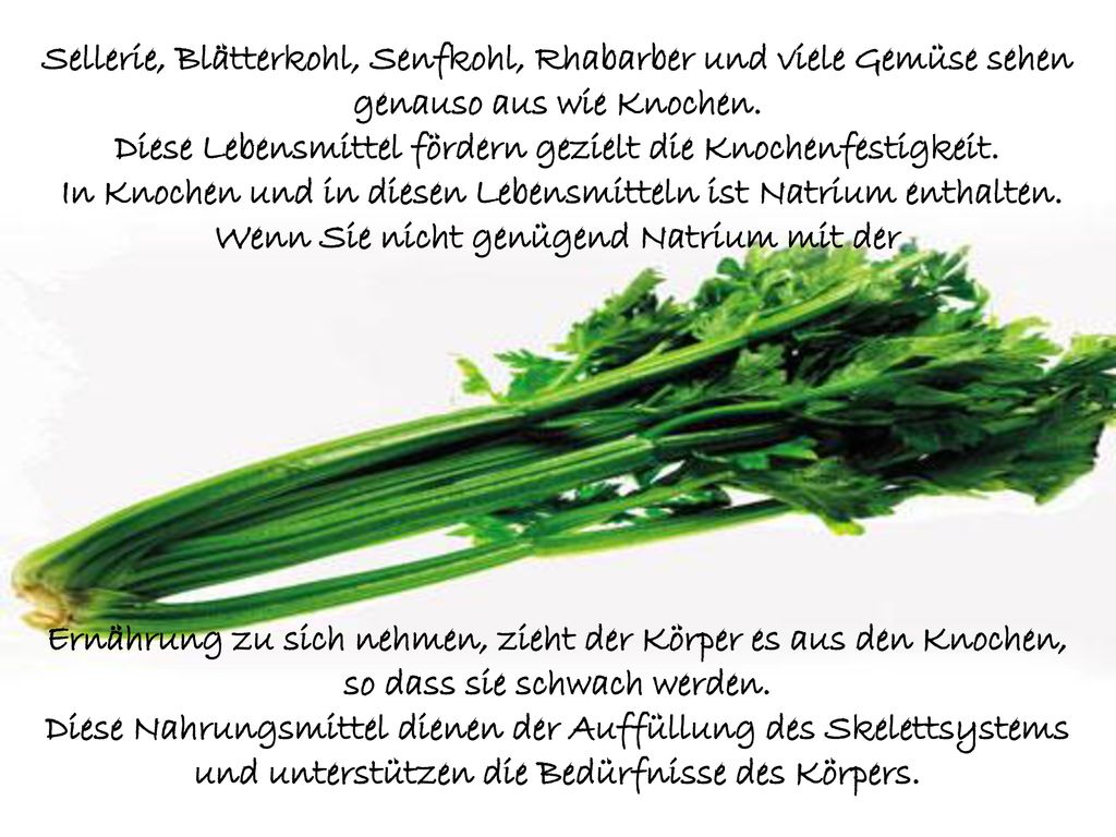 Sellerie, Blätterkohl, Senfkohl, Rhabarber und viele Gemüse sehen genauso aus wie Knochen. Diese Lebensmittel fördern gezielt die Knochenfestigkeit. In Knochen und in diesen Lebensmitteln ist Natrium enthalten. Wenn Sie nicht genügend Natrium mit der