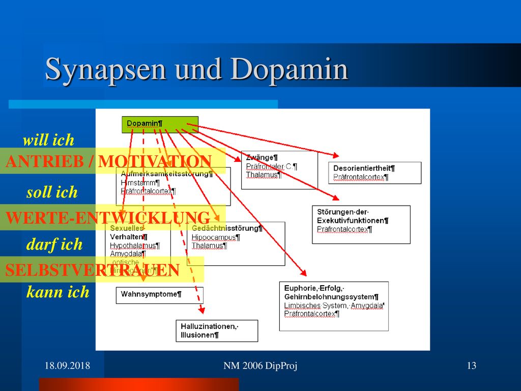 Synapsen und Dopamin will ich ANTRIEB / MOTIVATION soll ich