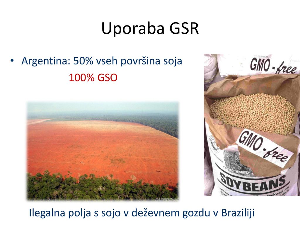 Uporaba GSR Argentina: 50% vseh površina soja 100% GSO