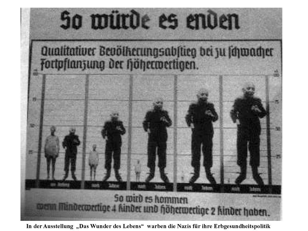 Euthanasie - Bilder In der Ausstellung „Das Wunder des Lebens warben die Nazis für ihre Erbgesundheitspolitik.
