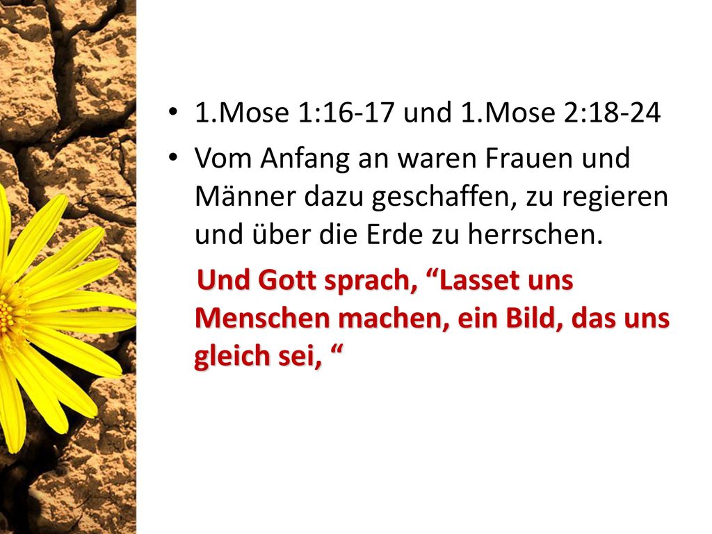 1.Mose 1:16-17 und 1.Mose 2:18-24 Vom Anfang an waren Frauen und Männer dazu geschaffen, zu regieren und über die Erde zu herrschen.