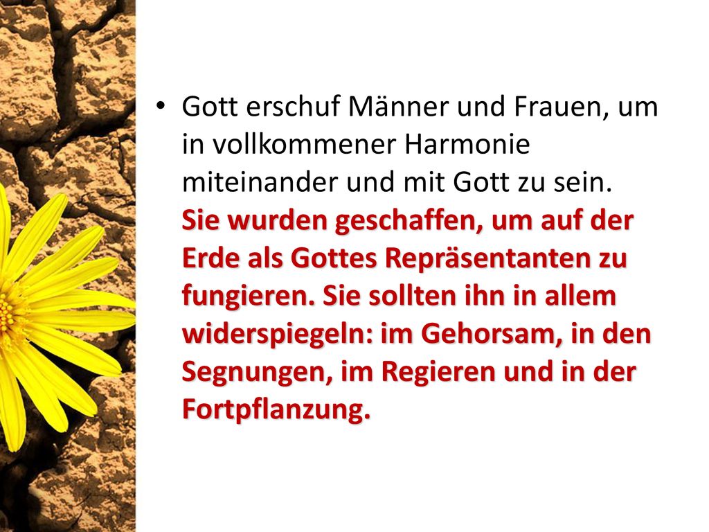 Gott erschuf Männer und Frauen, um in vollkommener Harmonie miteinander und mit Gott zu sein. Sie wurden geschaffen, um auf der Erde als Gottes Repräsentanten zu fungieren. Sie sollten ihn in allem widerspiegeln: im Gehorsam, in den Segnungen, im Regieren und in der Fortpflanzung.