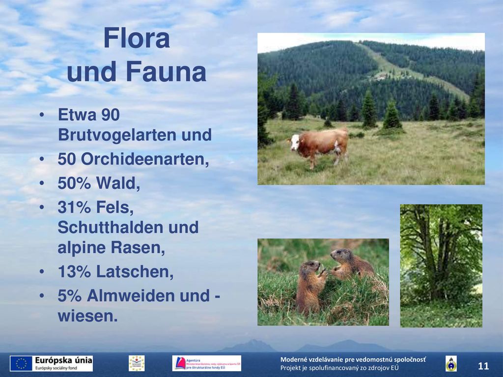 Flora und Fauna Etwa 90 Brutvogelarten und 50 Orchideenarten,
