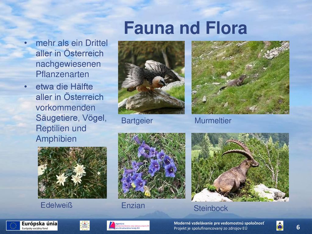 Fauna nd Flora mehr als ein Drittel aller in Österreich nachgewiesenen Pflanzenarten.